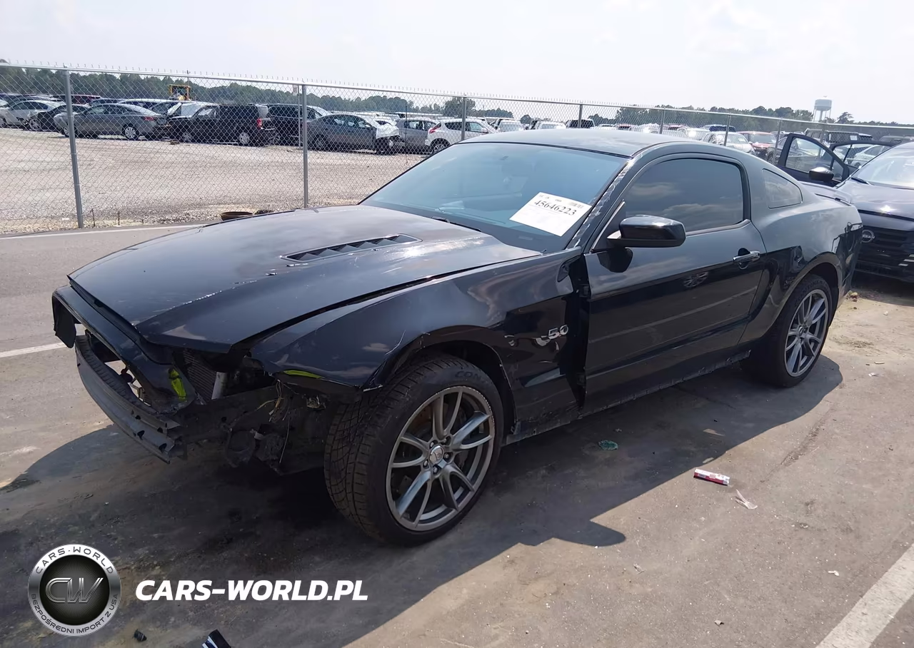 2014 Ford Mustang Gt Premium VIN:1ZVBP8CF6E5303813 - 2