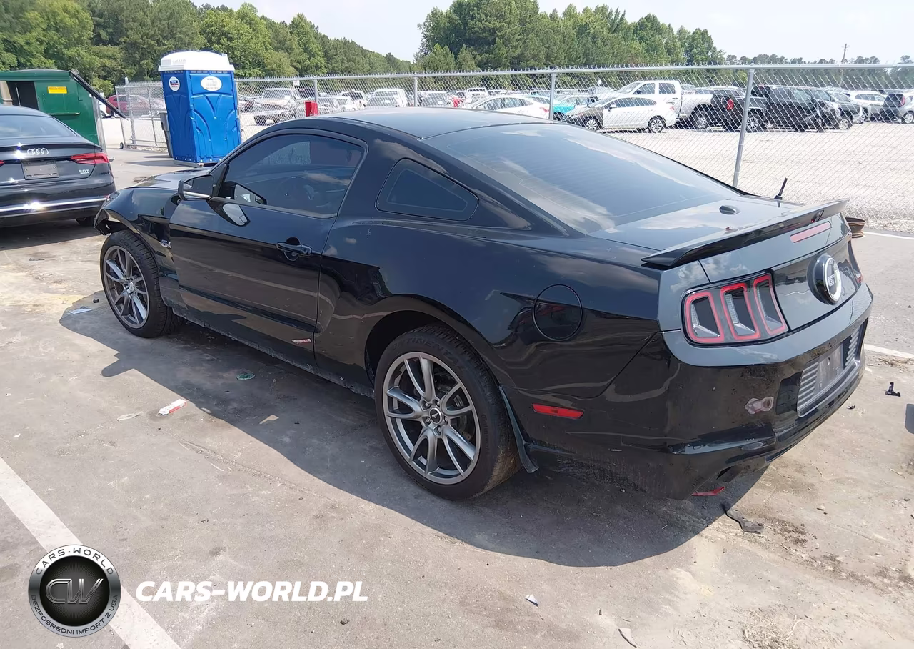 2014 Ford Mustang Gt Premium VIN:1ZVBP8CF6E5303813 - 3