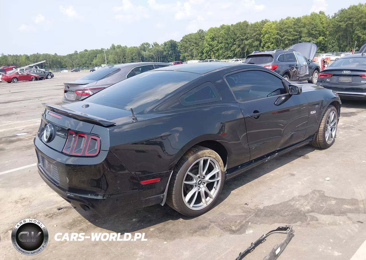 2014 Ford Mustang Gt Premium VIN:1ZVBP8CF6E5303813 - 4
