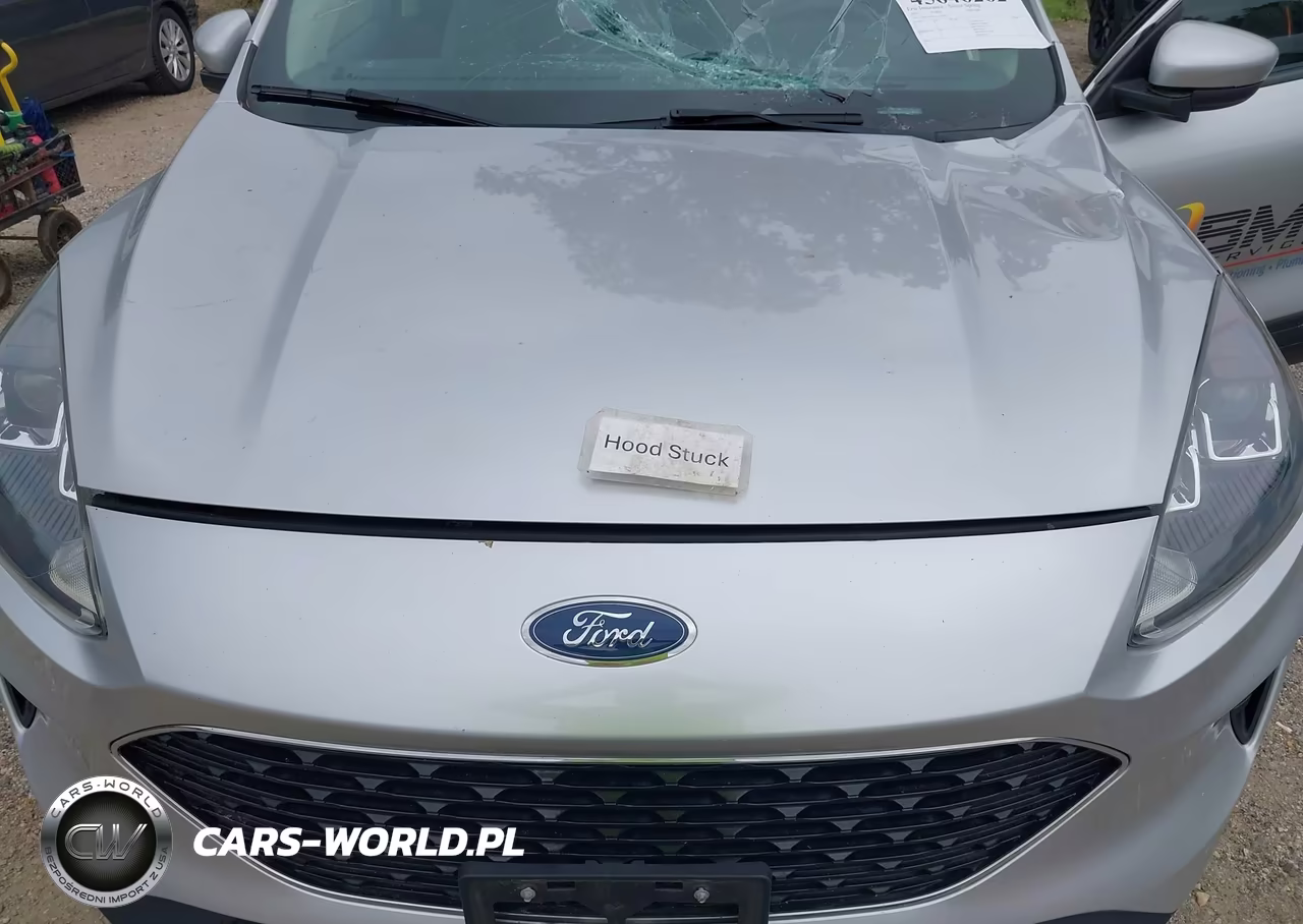 2020 Ford Escape Se VIN:1FMCU9G63LUA48150 - 10