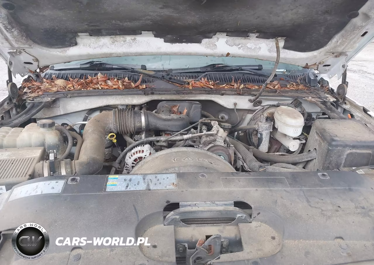 2003 Chevrolet Silverado 1500 Work Truck VIN:2GCEC19X331335815 - 10