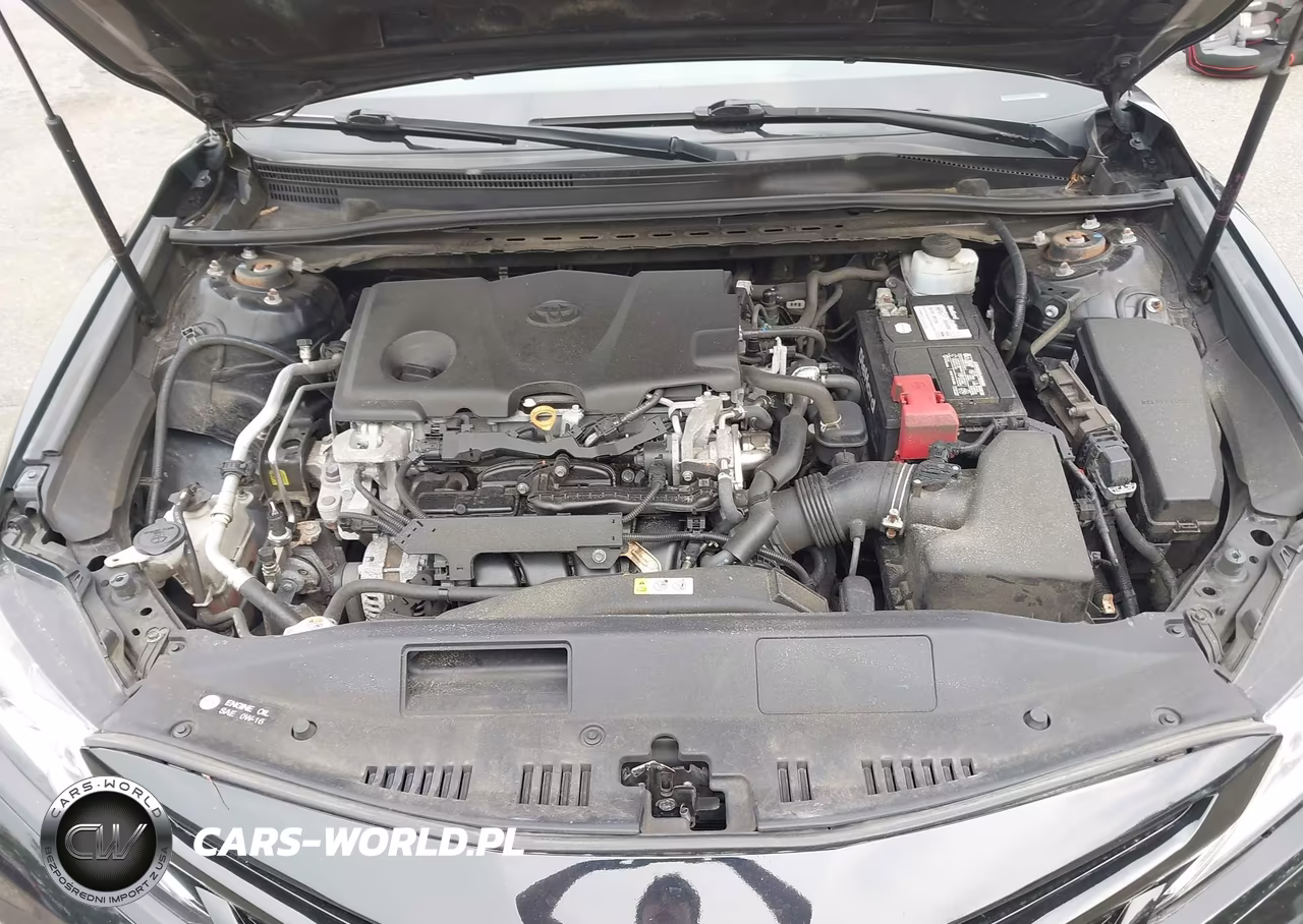 2019 Toyota Camry Se VIN:4T1B11HK0KU737918 - 10