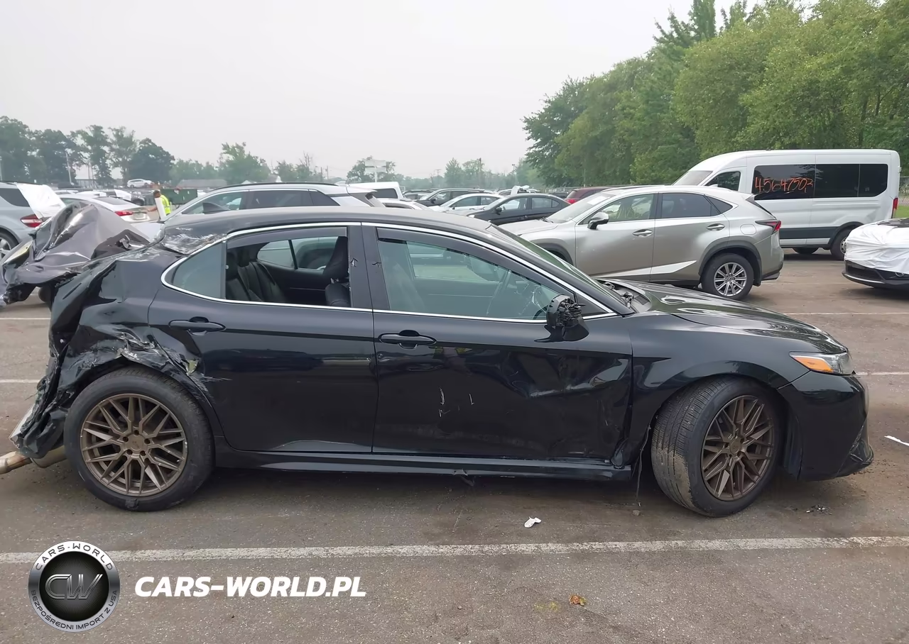 2019 Toyota Camry Se VIN:4T1B11HK0KU737918 - 12