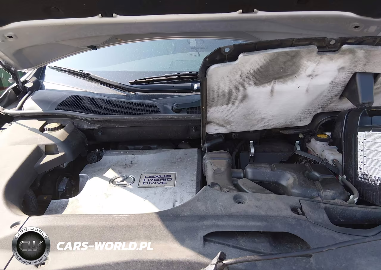 2013 Lexus Rx 450H VIN:JTJZB1BAXD2009437 - 10