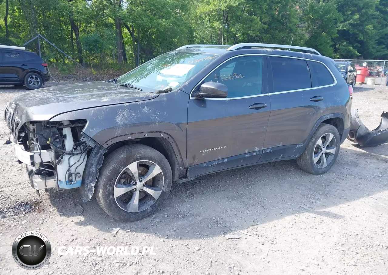2019 Jeep Cherokee Limited 4X4 VIN:1C4PJMDX5KD156573 - 2