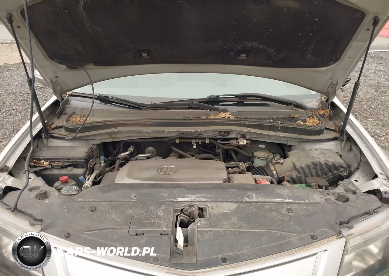 2010 Acura Mdx VIN:2HNYD2H26AH500745 - 10