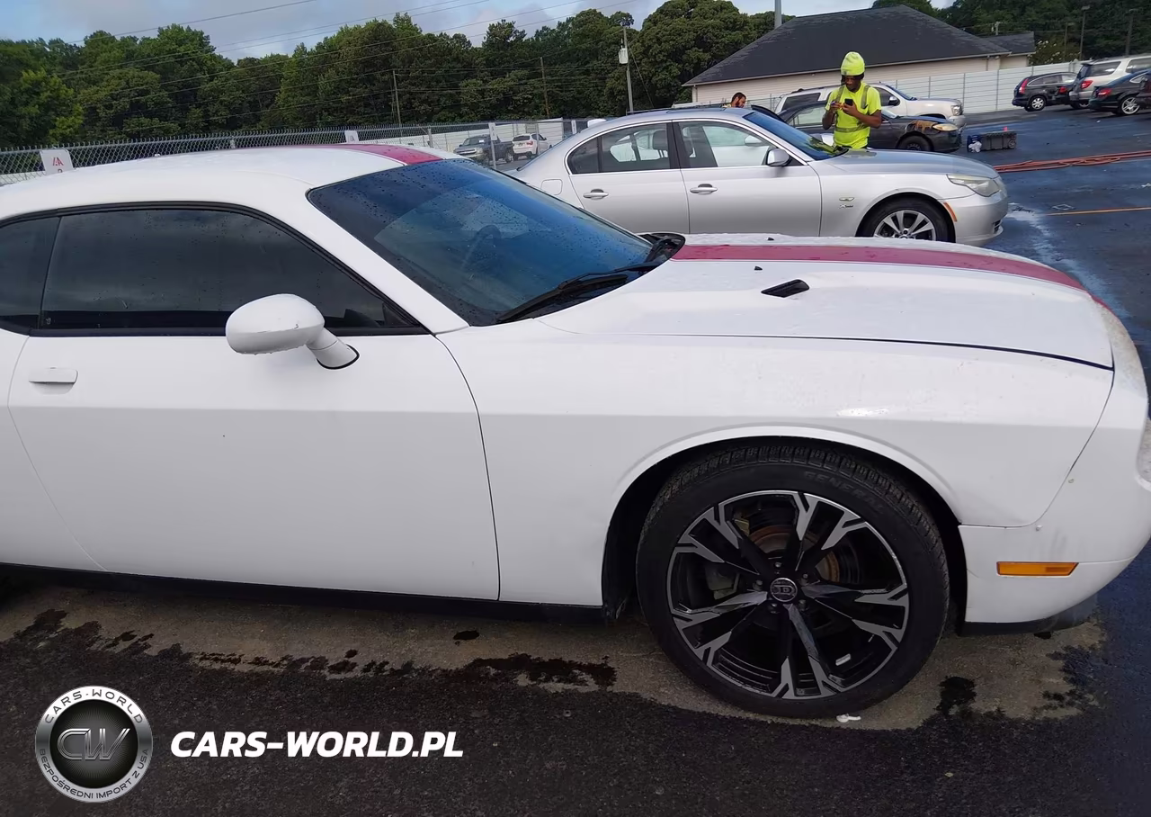 2013 Dodge Challenger Sxt VIN:2C3CDYAG9DH500515 - 13