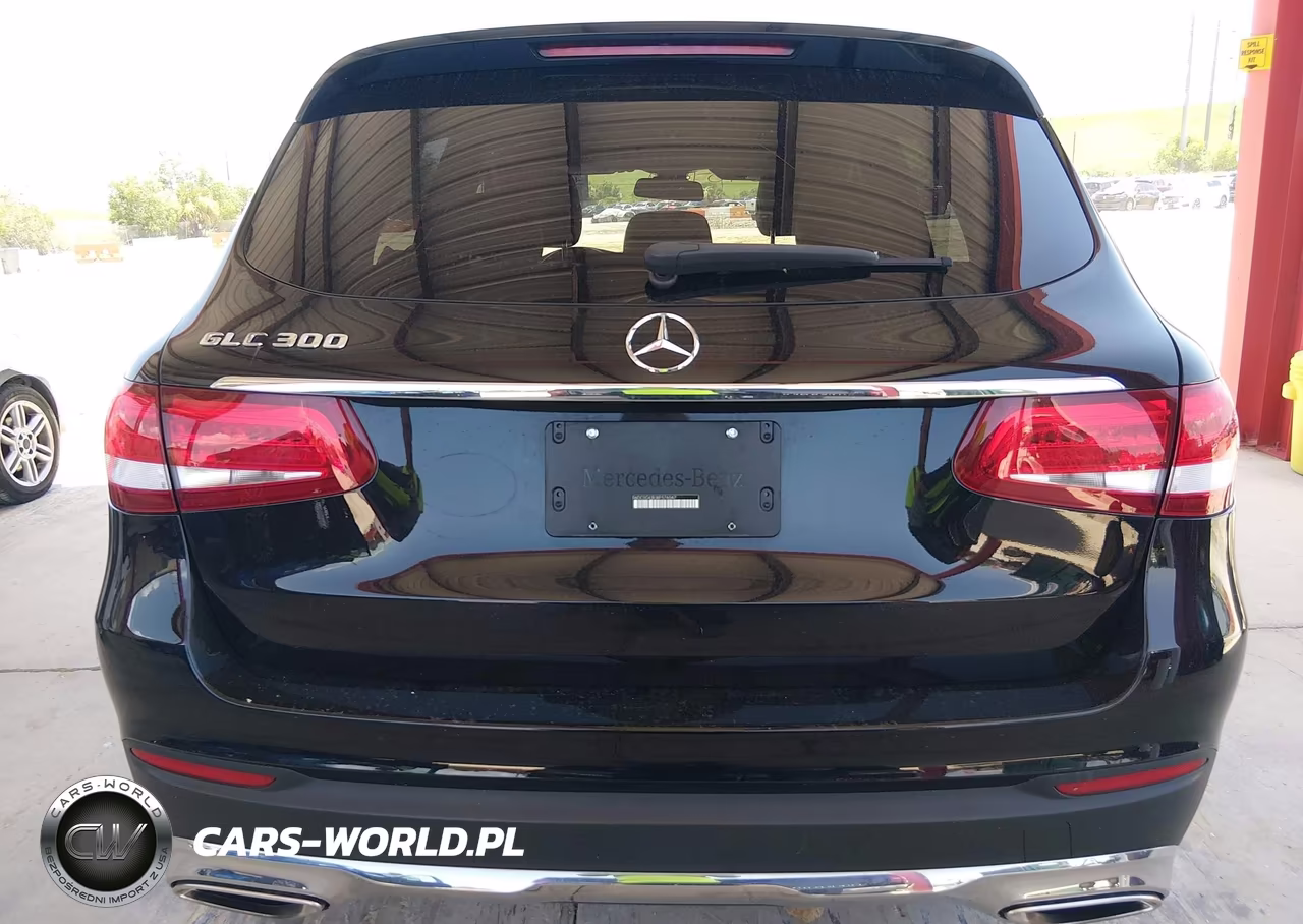 2019 Mercedes-Benz Glc 300 VIN:WDC0G4JB3KF576047 - 16