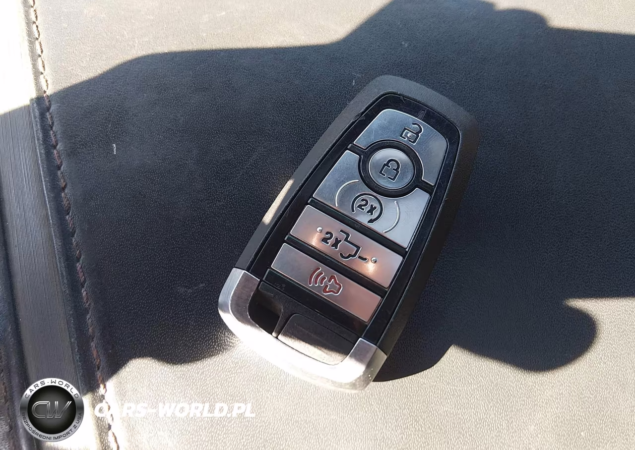 2019 Ford F-150 Platinum VIN:1FTEW1E57KFB09750 - 11