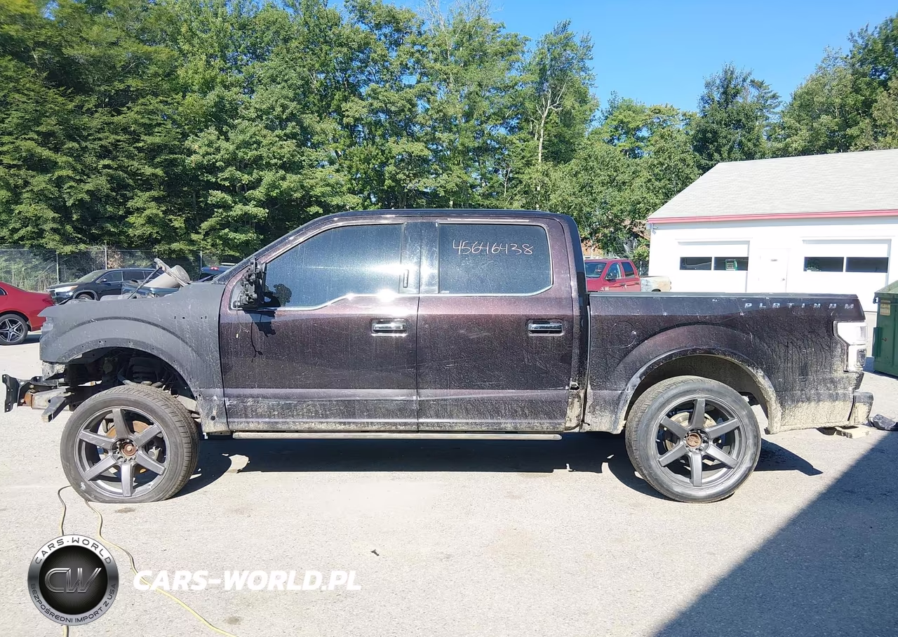 2019 Ford F-150 Platinum VIN:1FTEW1E57KFB09750 - 15