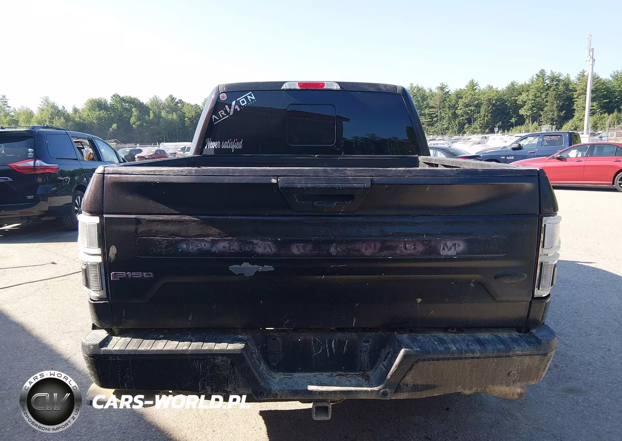 2019 Ford F-150 Platinum VIN:1FTEW1E57KFB09750 - 17