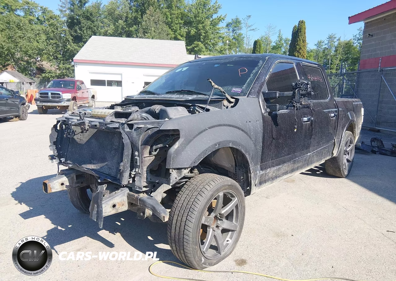 2019 Ford F-150 Platinum VIN:1FTEW1E57KFB09750 - 2