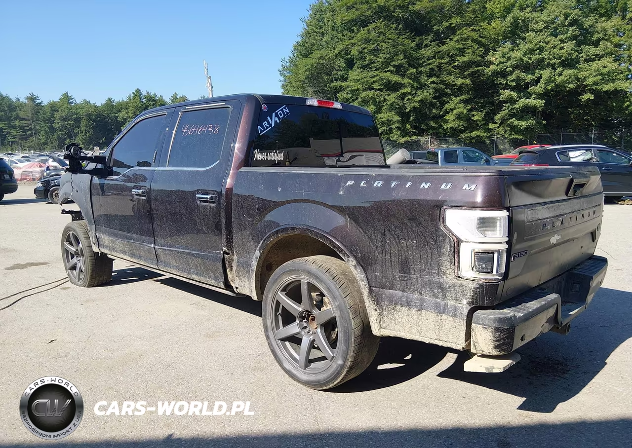 2019 Ford F-150 Platinum VIN:1FTEW1E57KFB09750 - 3