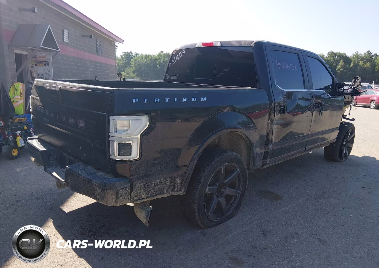 2019 Ford F-150 Platinum VIN:1FTEW1E57KFB09750 - 4
