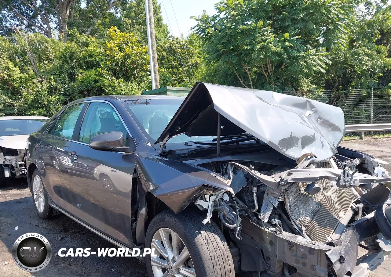 2013 Toyota Camry Xle VIN:4T1BF1FK2DU273005 - 13