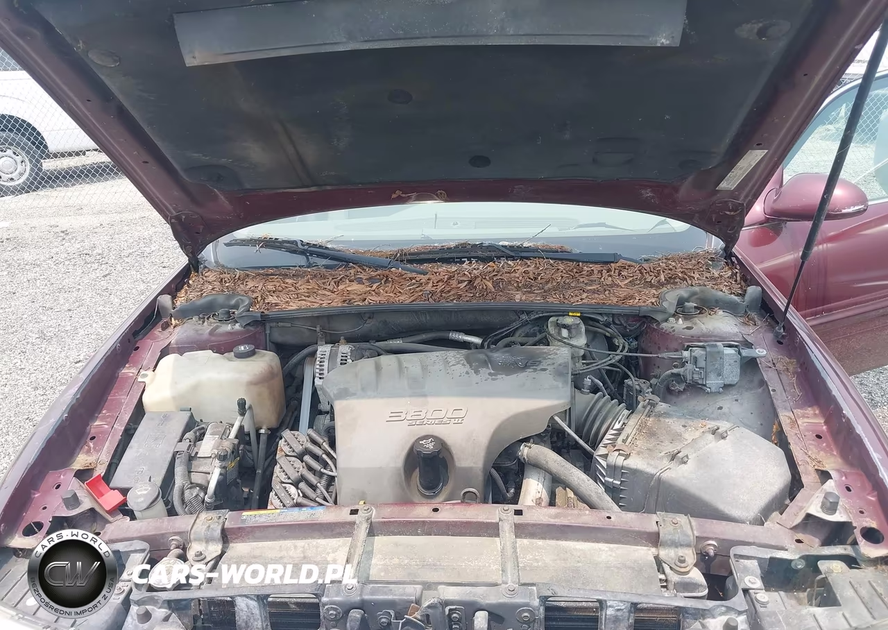 2005 Buick Lesabre Custom VIN:1G4HP54K25U278269 - 10