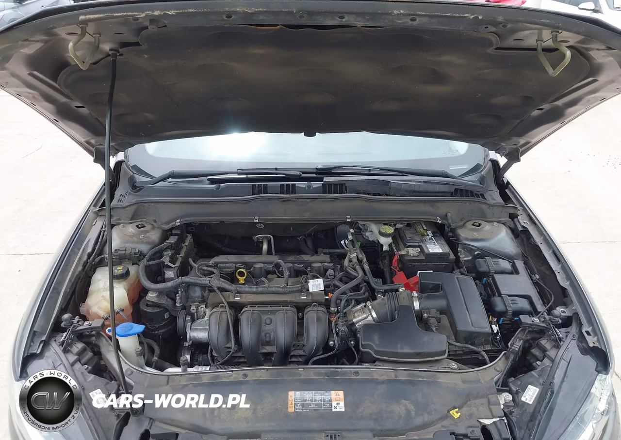 2014 Ford Fusion S VIN:3FA6P0G71ER356981 - 10