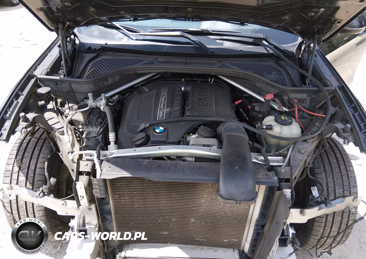 2017 BMW X6 Sdrive35I VIN:5UXKU0C37H0G68166 - 10