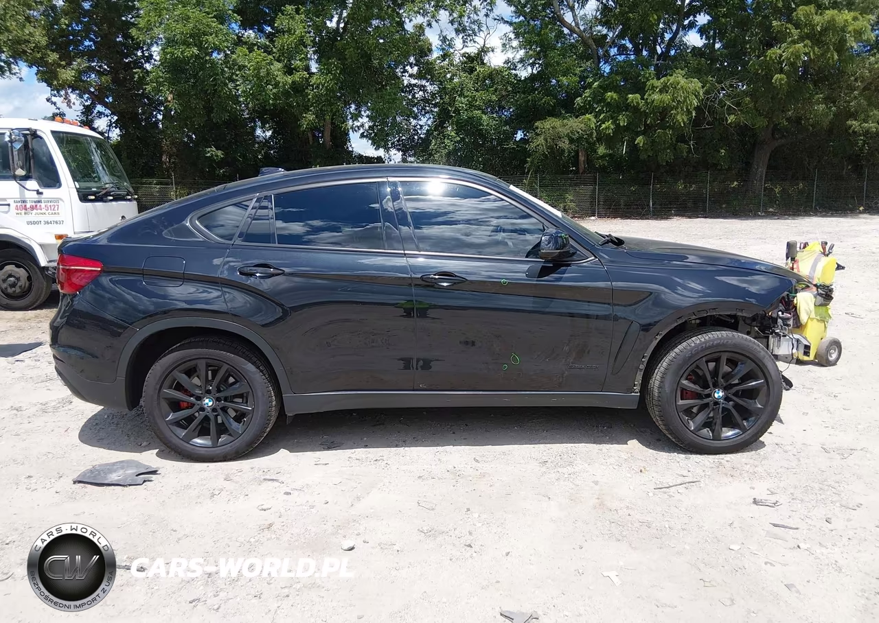 2017 BMW X6 Sdrive35I VIN:5UXKU0C37H0G68166 - 14