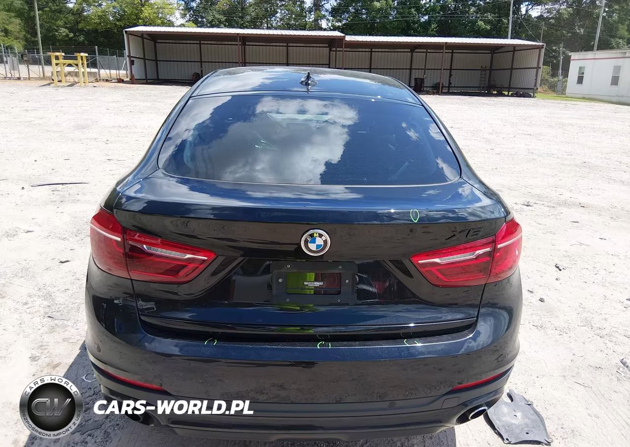 2017 BMW X6 Sdrive35I VIN:5UXKU0C37H0G68166 - 17