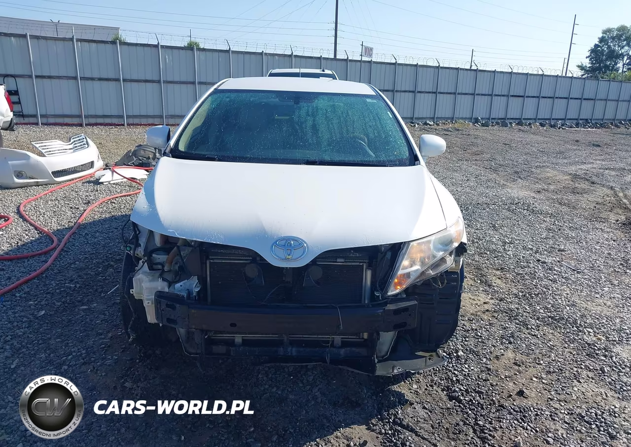 2010 Toyota Venza VIN:4T3ZA3BB9AU021219 - 13