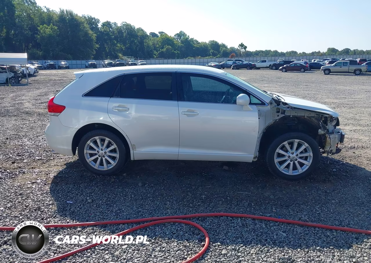 2010 Toyota Venza VIN:4T3ZA3BB9AU021219 - 14