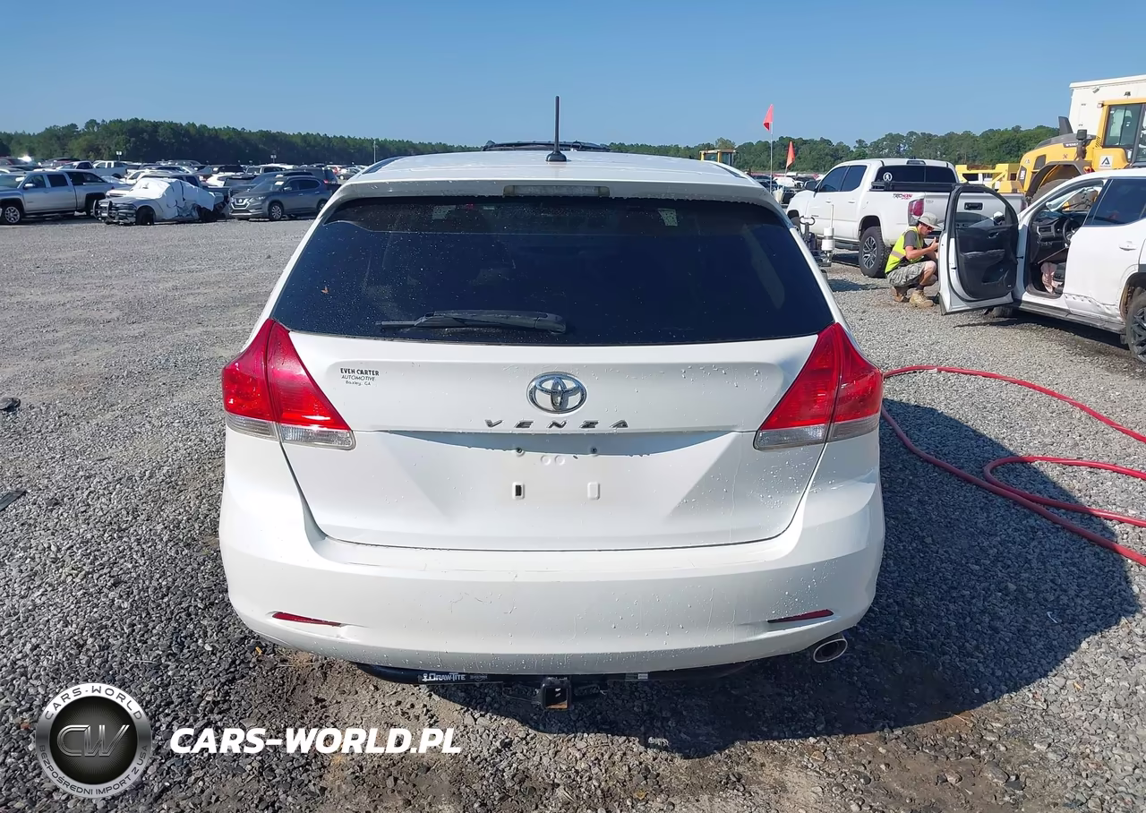 2010 Toyota Venza VIN:4T3ZA3BB9AU021219 - 17