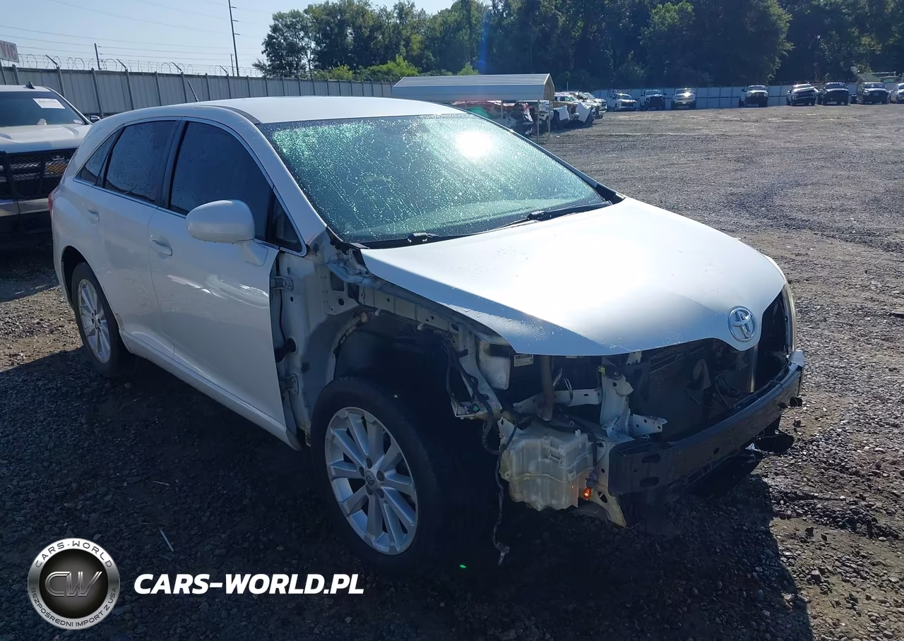 2010 Toyota Venza VIN:4T3ZA3BB9AU021219 - 6
