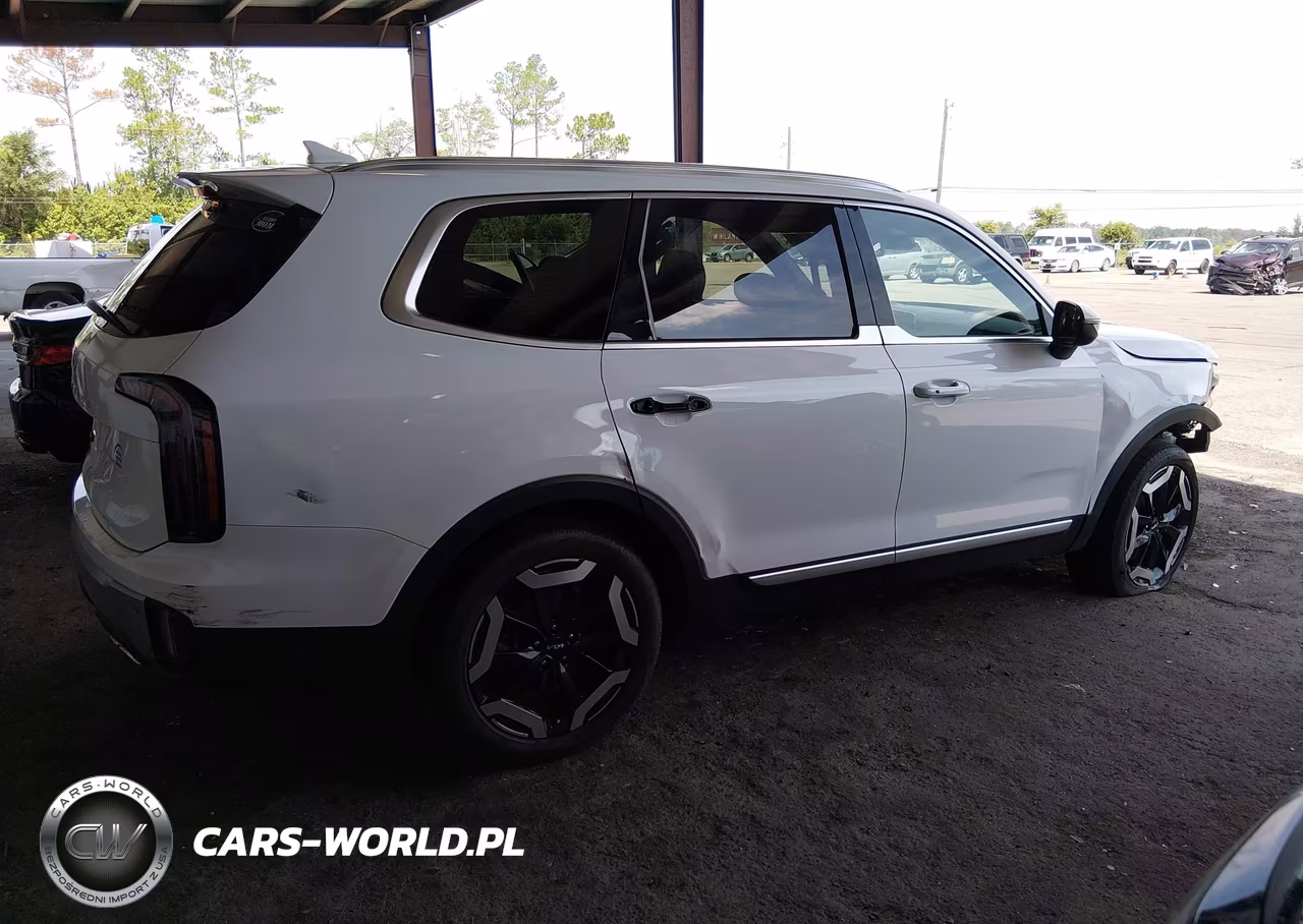 2024 Kia Telluride Ex VIN:5XYP34GC2RG437275 - 13