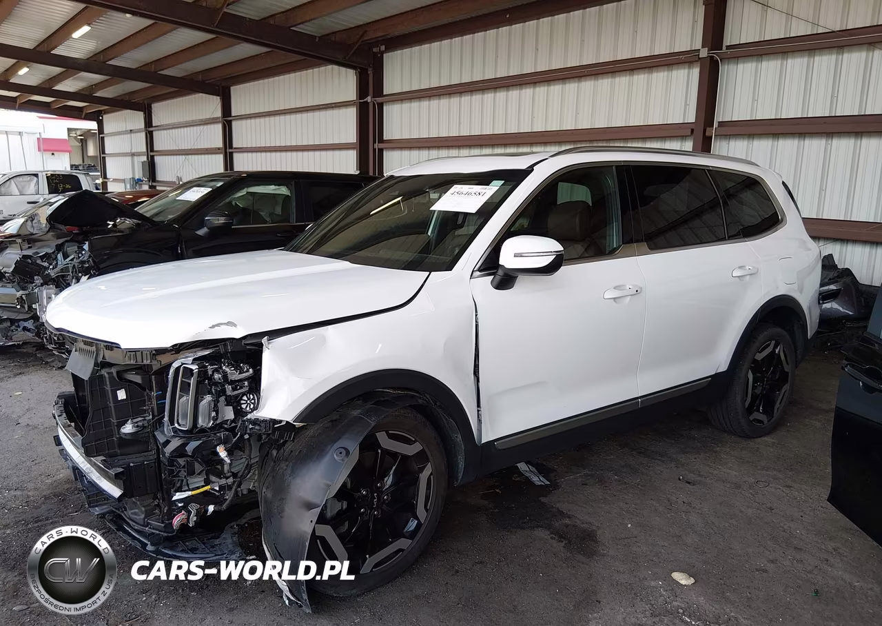 2024 Kia Telluride Ex VIN:5XYP34GC2RG437275 - 14