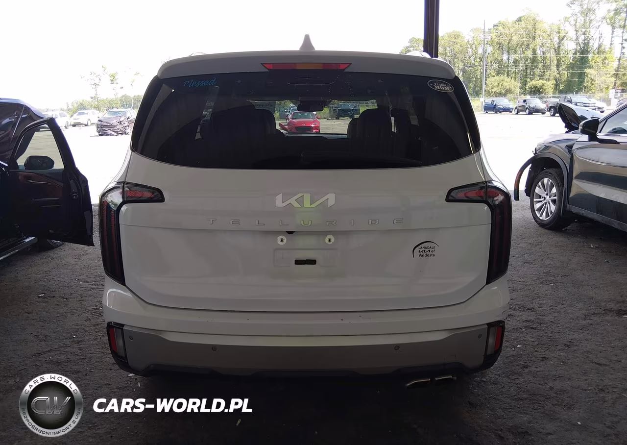 2024 Kia Telluride Ex VIN:5XYP34GC2RG437275 - 16