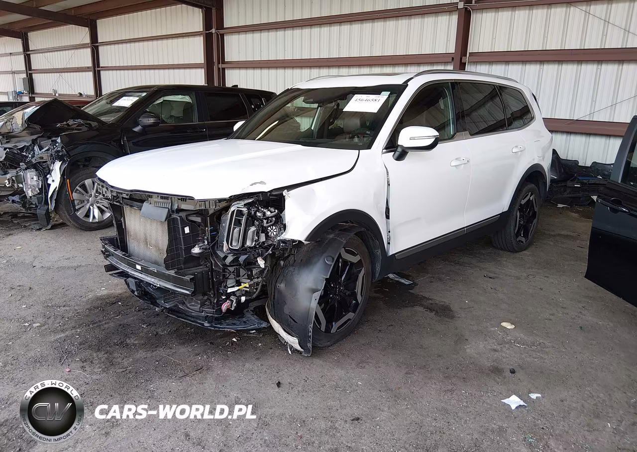 2024 Kia Telluride Ex VIN:5XYP34GC2RG437275 - 2