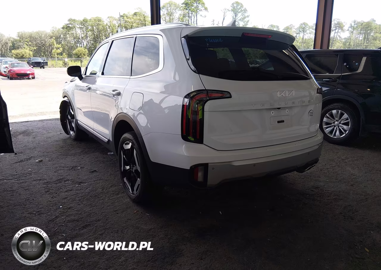 2024 Kia Telluride Ex VIN:5XYP34GC2RG437275 - 3