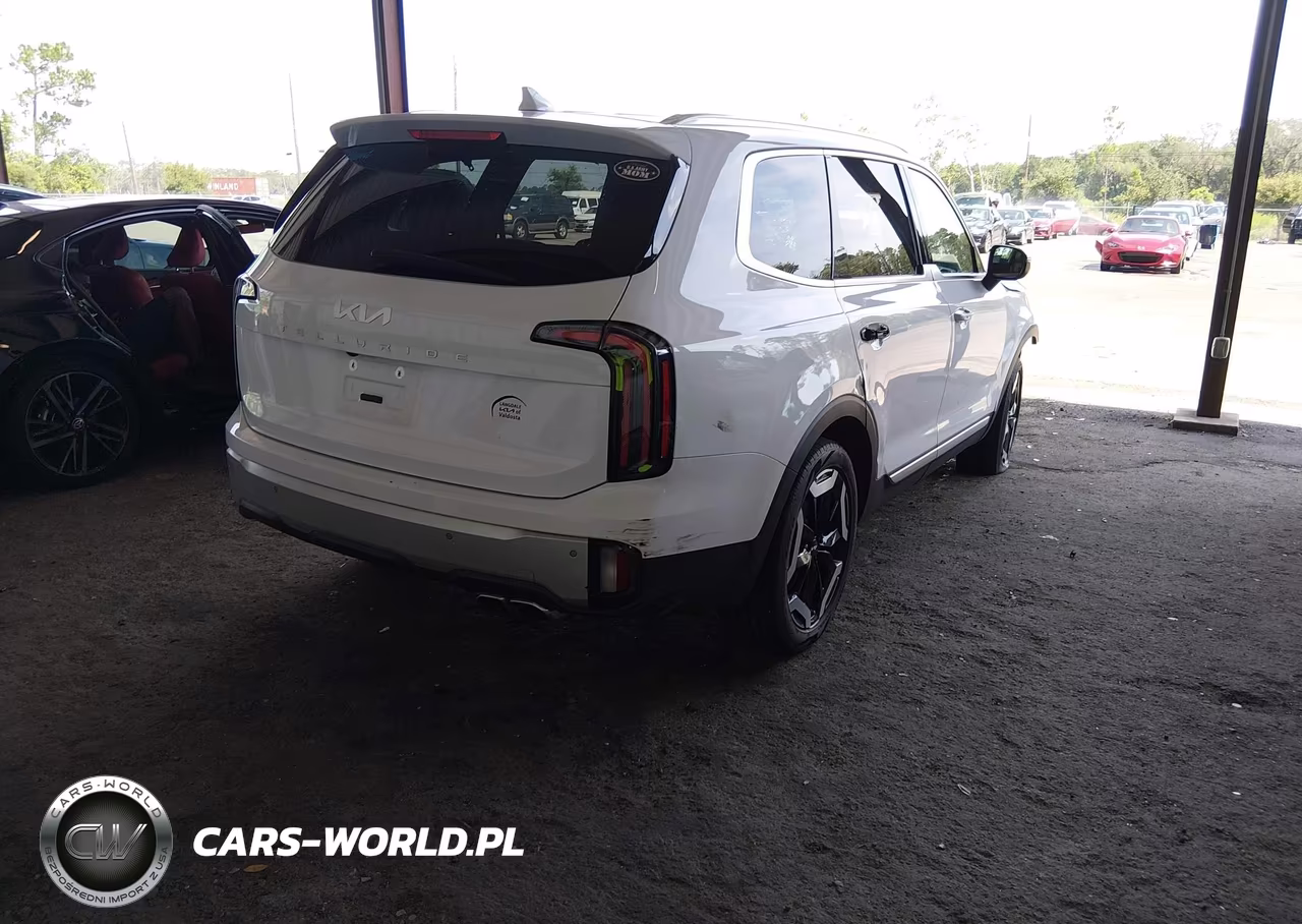 2024 Kia Telluride Ex VIN:5XYP34GC2RG437275 - 4