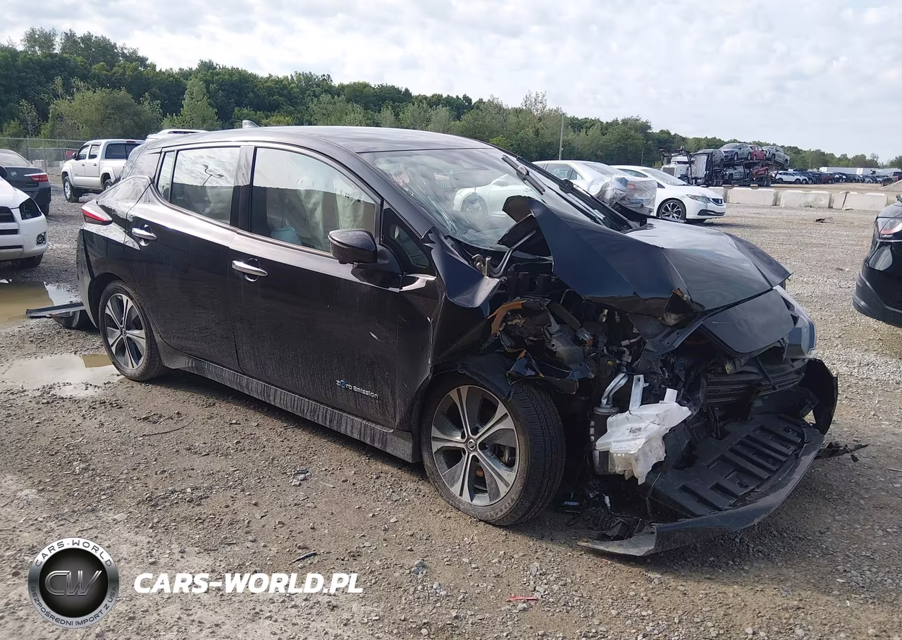 2019 Nissan Leaf Sl