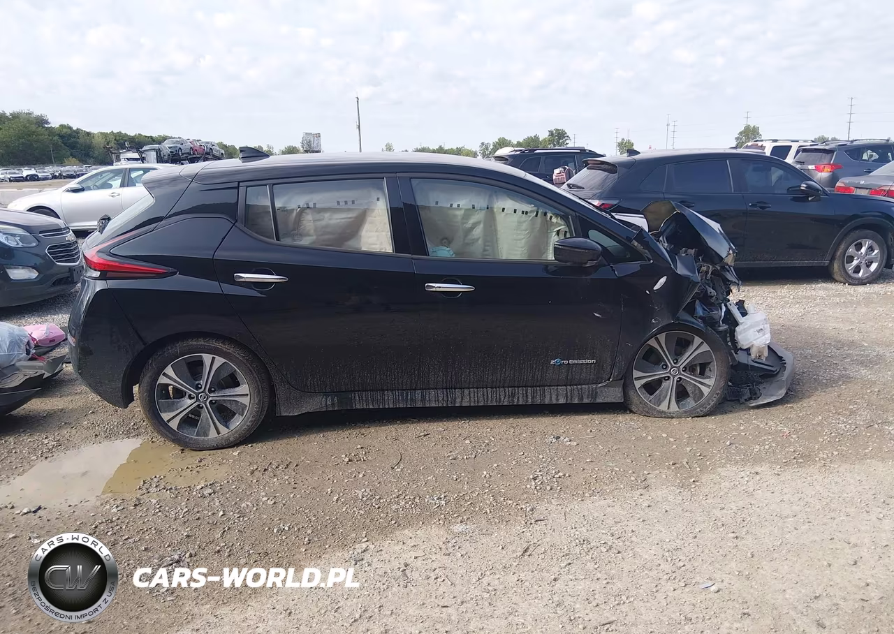 2019 Nissan Leaf Sl VIN:1N4AZ1CP6KC306362 - 12