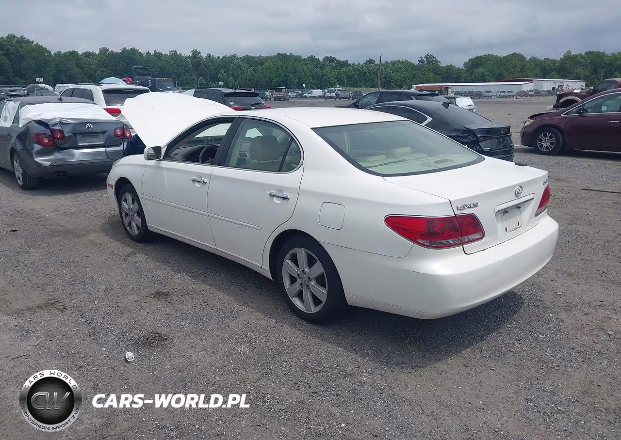2005 Lexus Es 330 VIN:JTHBA30G355096588 - 3