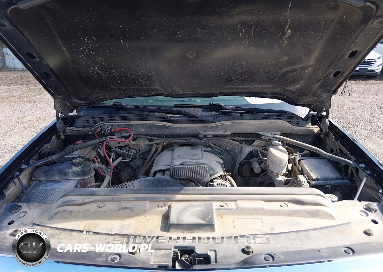 2018 Chevrolet Silverado 2500Hd Wt VIN:1GC1KUEGXJF237752 - 10