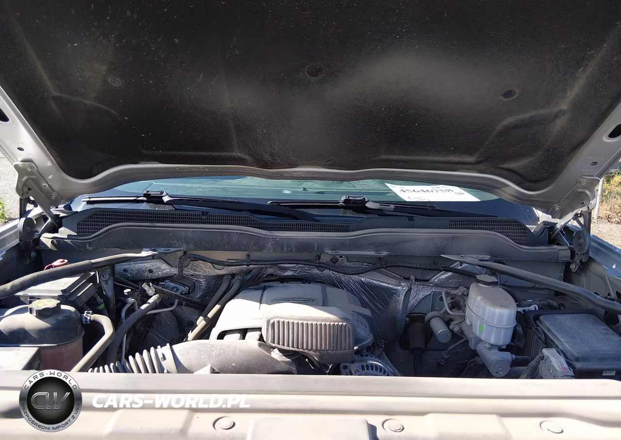 2018 Chevrolet Silverado 2500Hd Wt VIN:1GC1CUEG9JF238887 - 10