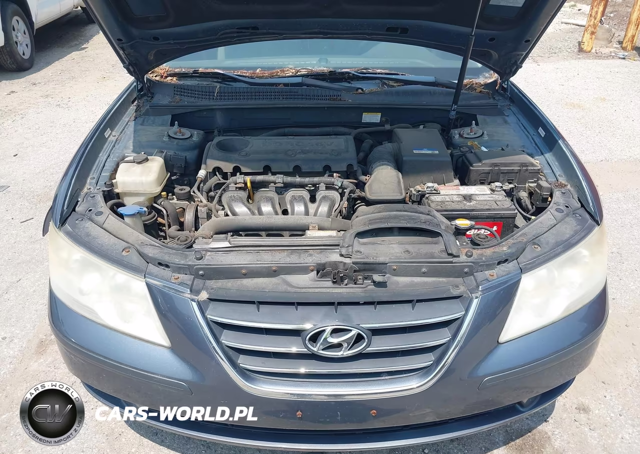 2010 Hyundai Sonata Gls VIN:5NPET4AC9AH592743 - 10