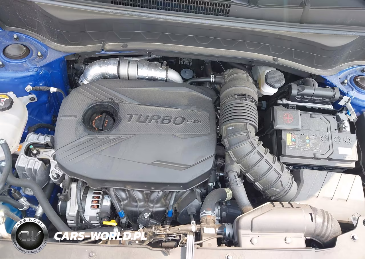 2021 Kia Seltos Sx Turbo VIN:KNDETCA27M7186504 - 10