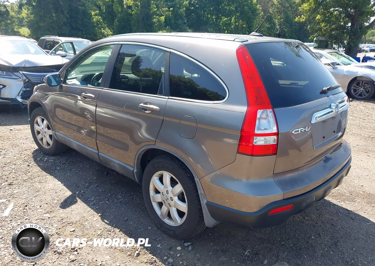 2009 Honda Cr-V Ex-L VIN:5J6RE38739L005436 - 3
