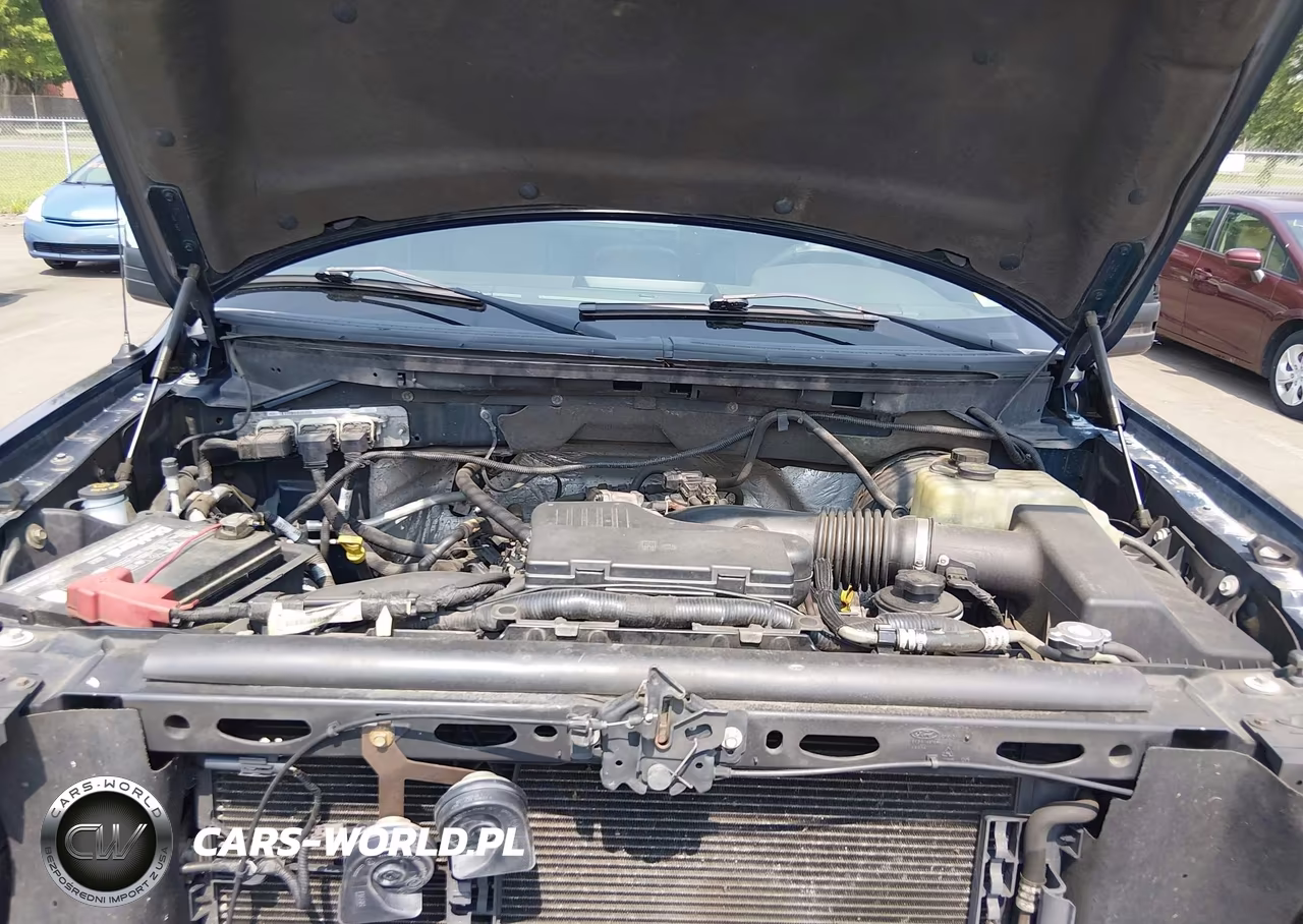 2009 Ford F-150 Stx-Xl-Xl W-Midbox Prep-Xlt-Xlt W-Midbox Prep VIN:1FTRF12W29KB37956 - 10