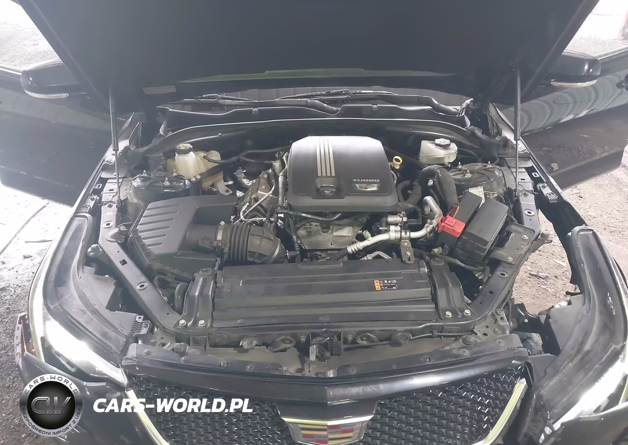 2022 Cadillac Ct4 Sport VIN:1G6DC5RK8N0135344 - 10
