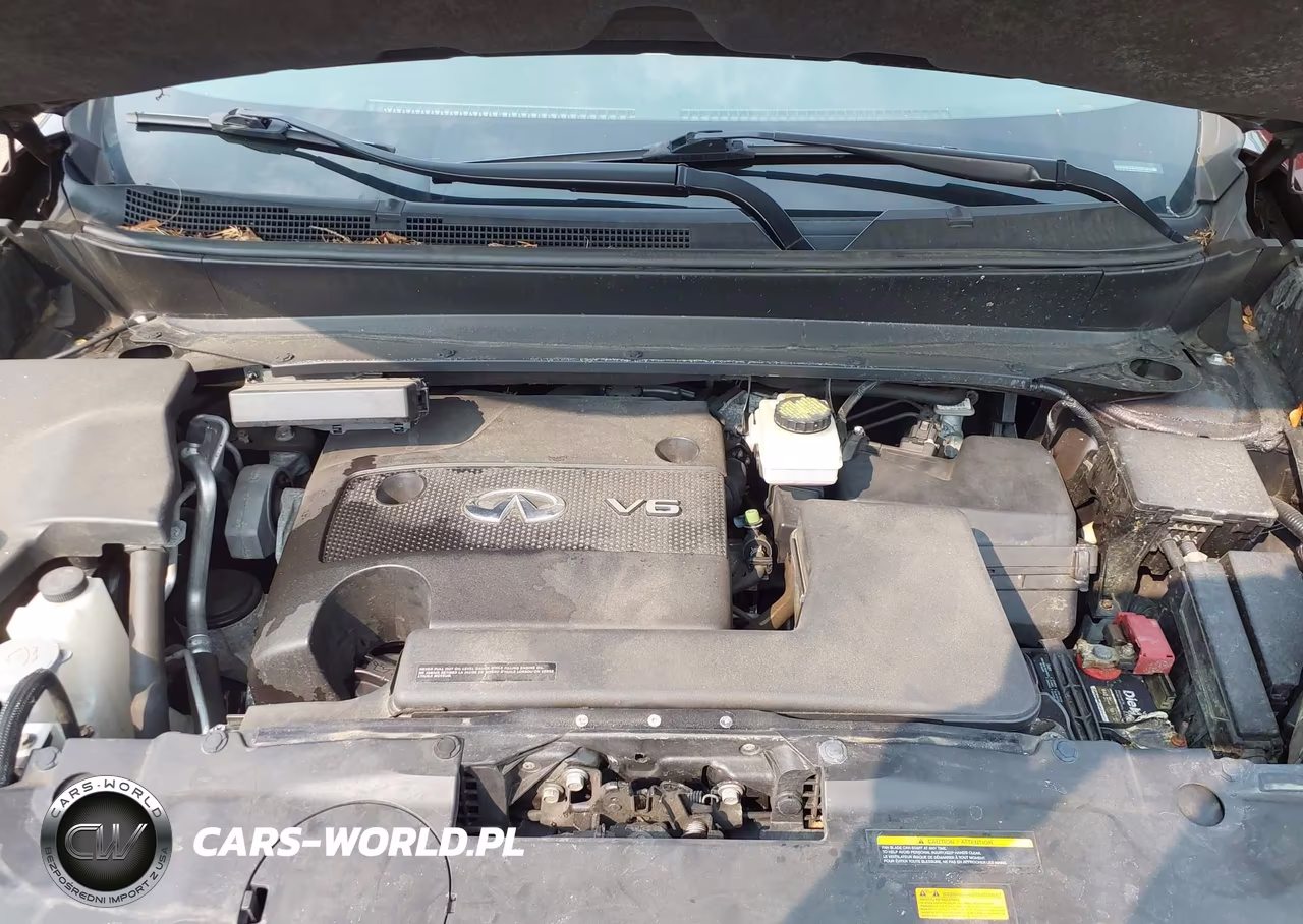 2014 Infiniti Qx60 VIN:5N1AL0MMXEC516876 - 10