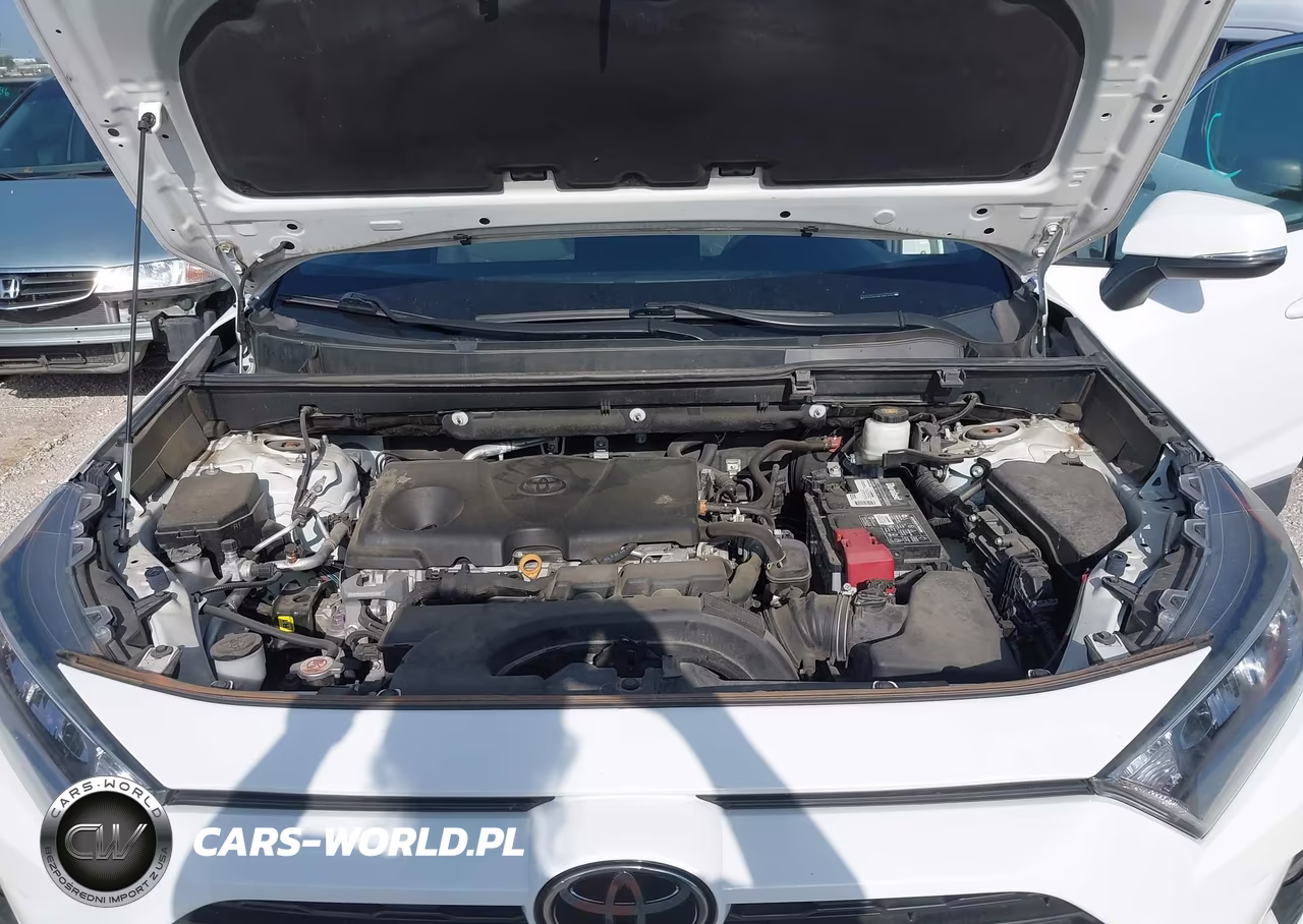 2020 Toyota Rav4 Xle VIN:2T3P1RFV9LC064879 - 10