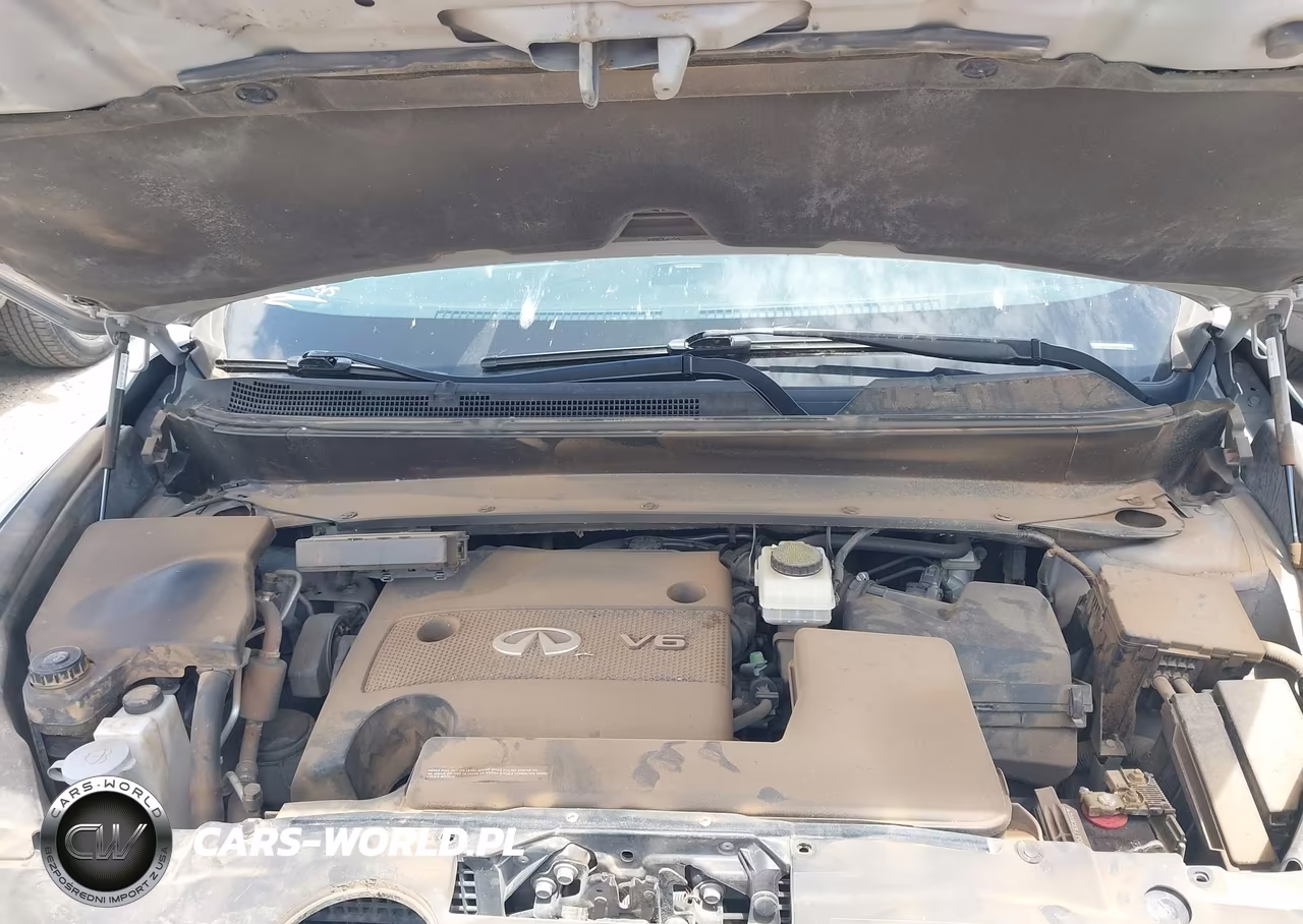 2015 Infiniti Qx60 VIN:5N1AL0MM3FC526733 - 10