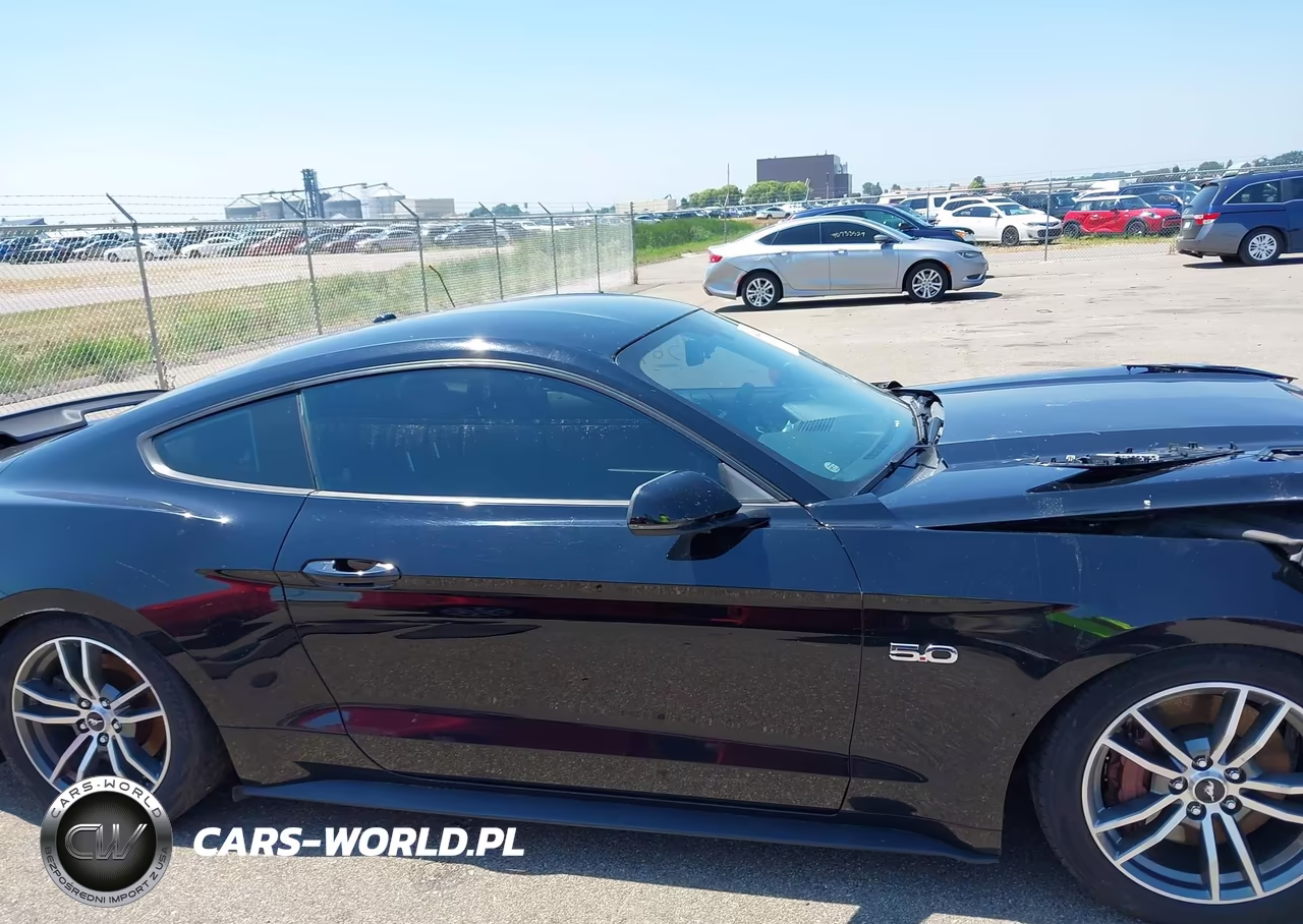 2015 Ford Mustang Gt Premium VIN:1FA6P8CF5F5391393 - 14