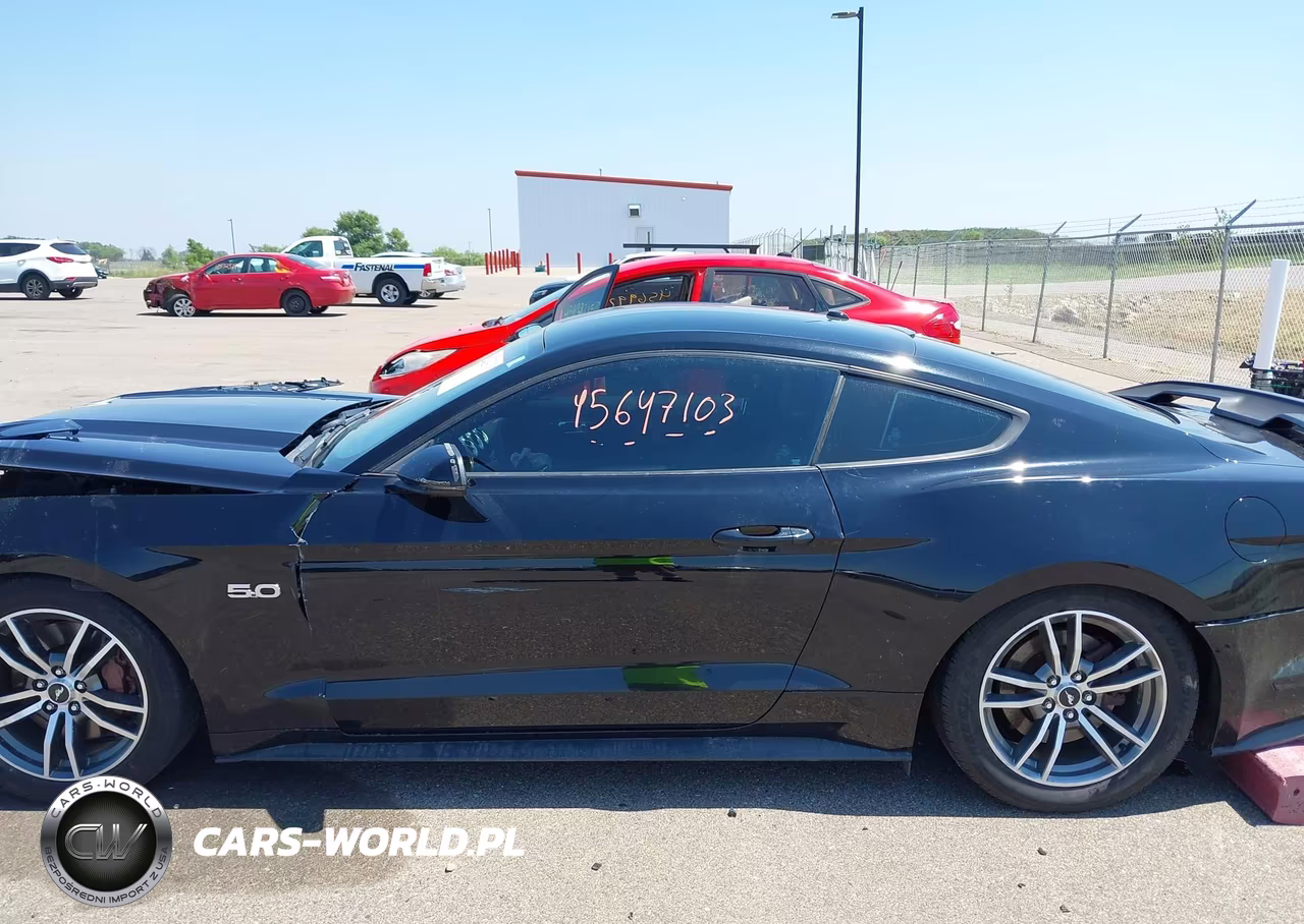 2015 Ford Mustang Gt Premium VIN:1FA6P8CF5F5391393 - 15