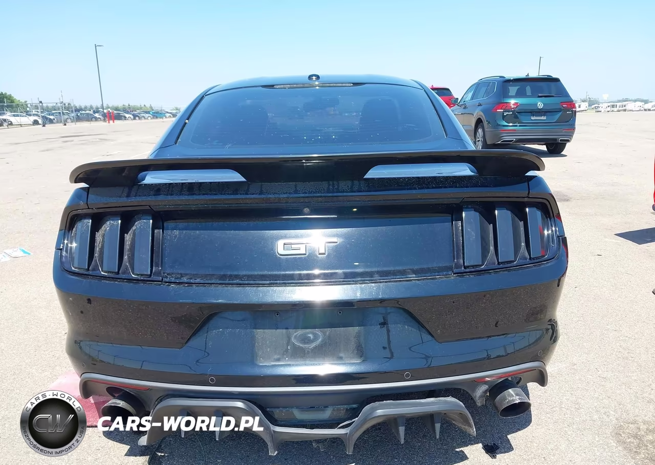 2015 Ford Mustang Gt Premium VIN:1FA6P8CF5F5391393 - 17